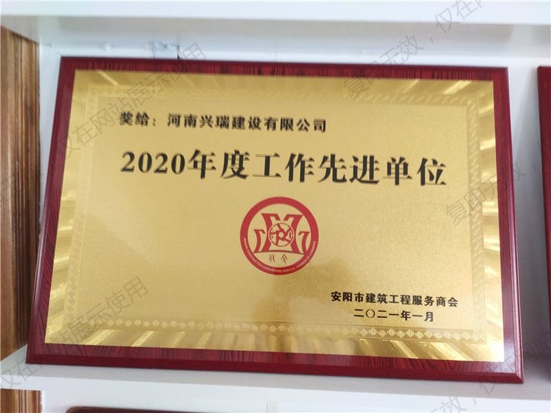 2020年工作先 进单位